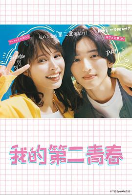 seo_网站优化教程